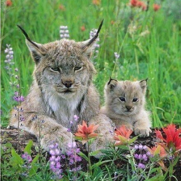 Meet your Posher, Lynn - Picture 10 of 10